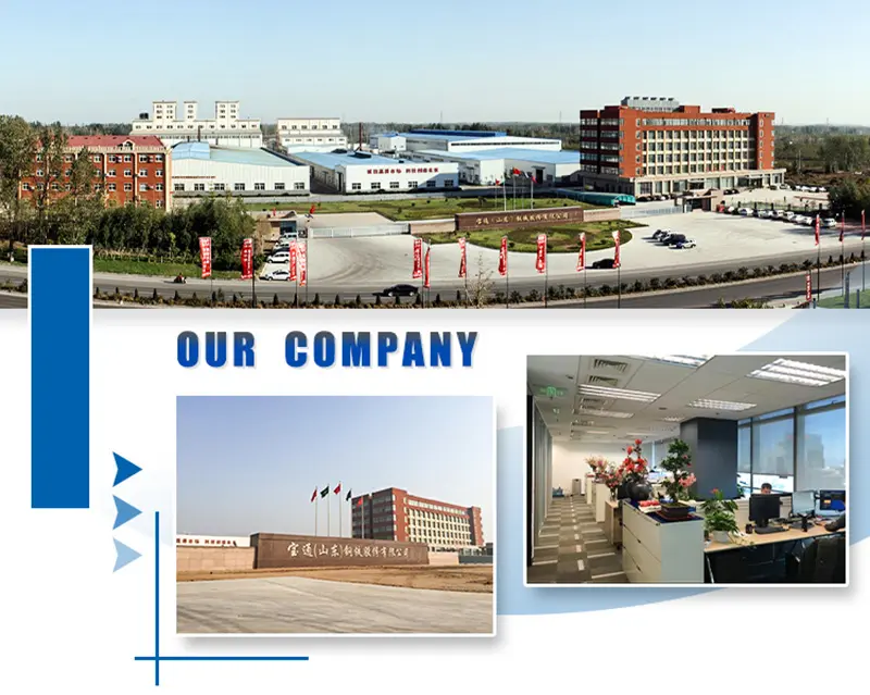 Shandong Longyuan New Energy Technology Co., Ltd